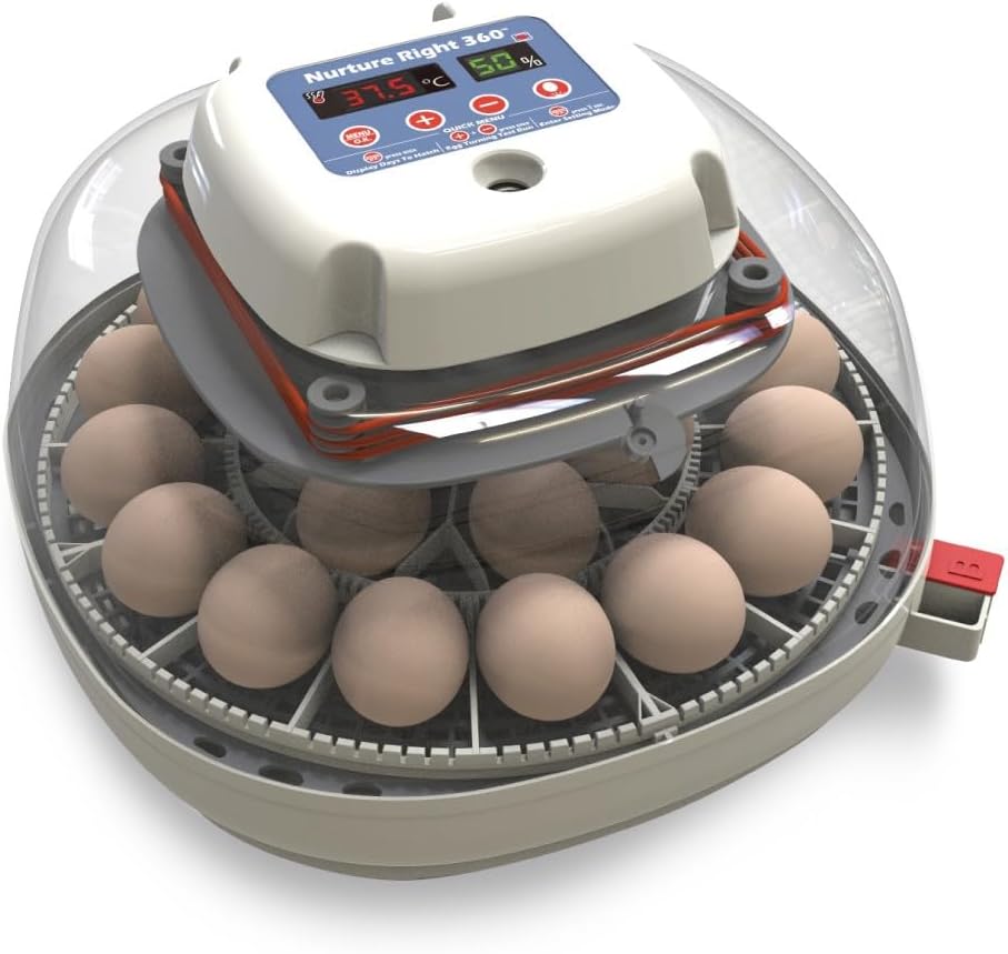 Egg Incubator for Hatching Chicks, Holds 12-22 Eggs, Automatic Turner with Temperature and Humidity Control, 360 Degree View with Clear Window, Incubator for Chickens